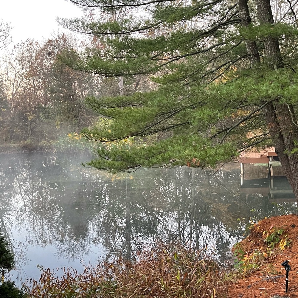 Meet your Posher, Gayle